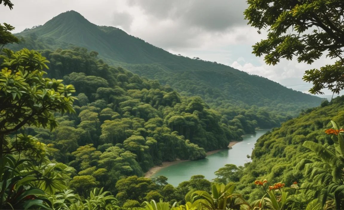 Climate and Best Time to Visit