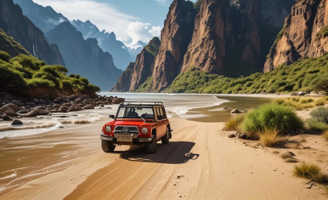 Essential Travel Tips