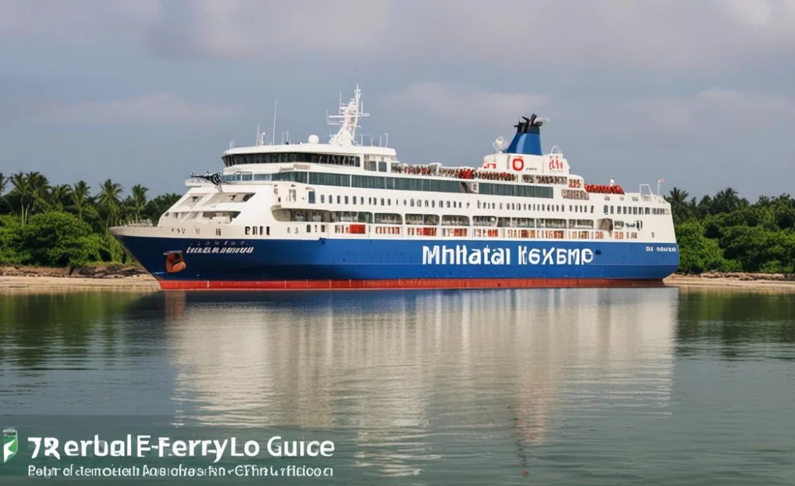 Bintan Island Ferry Immigration Steps: Your Complete Guide