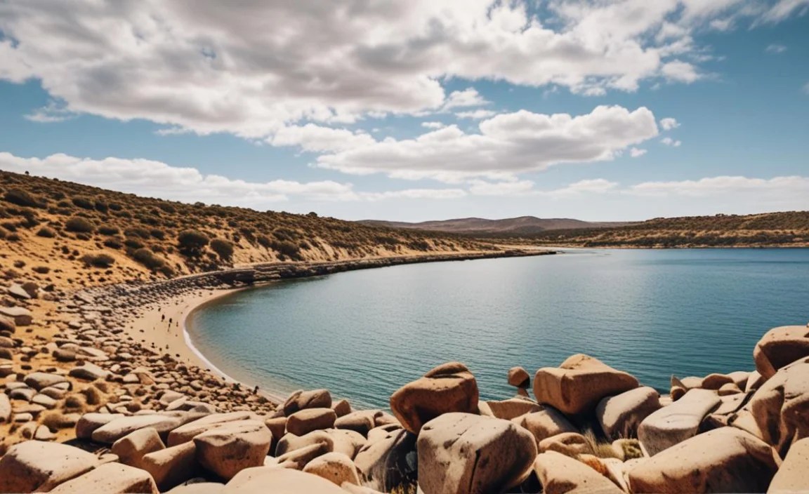 Discover These Adelaide Offbeat Gems