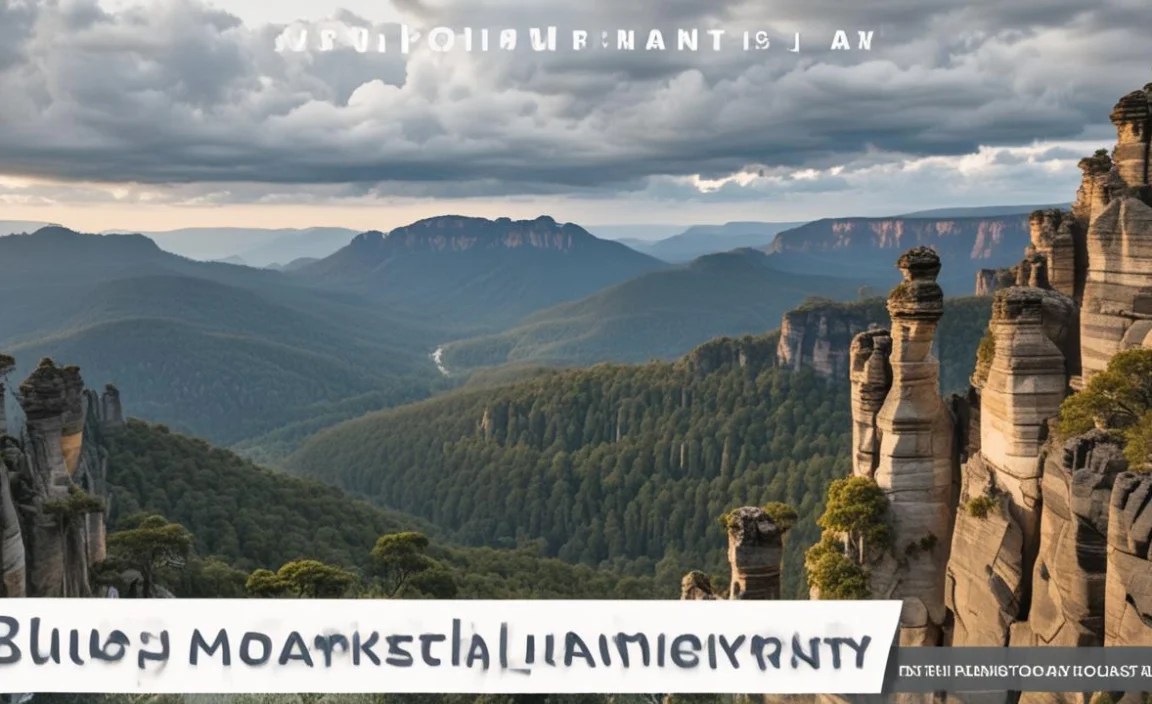Evening: Dinner in Katoomba