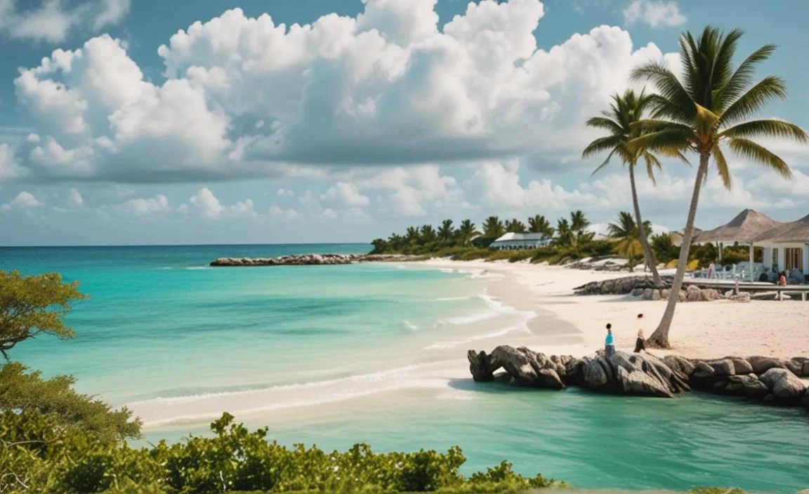 Exploring the Diverse Islands for Value and Splendor