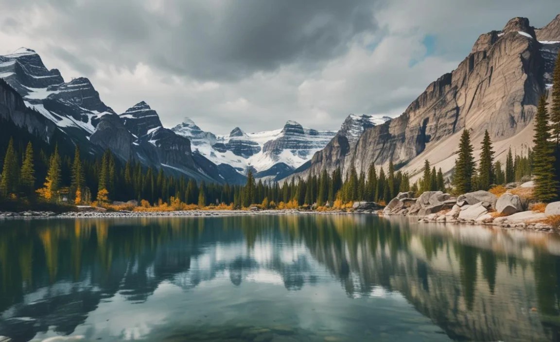 General Accessibility Features to Look For: