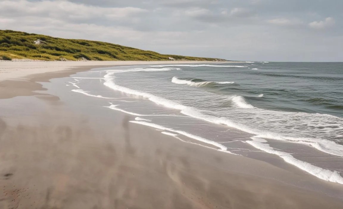 How Barrier Islands Are Formed