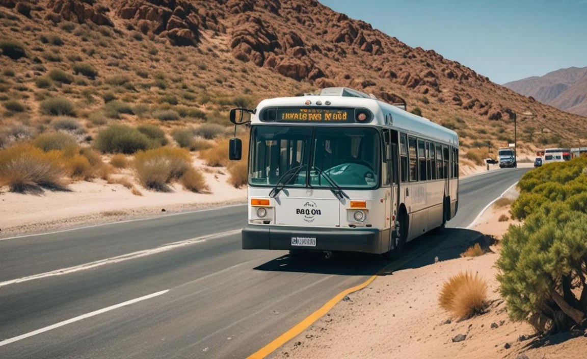 Long-Distance Buses: The Highway Heroes