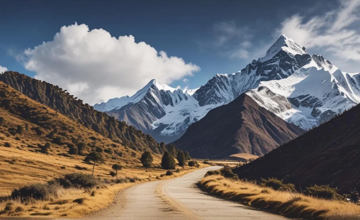 Pre-Trip Essentials: Before You Hit the Road