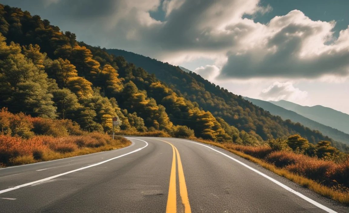 Step 6: Plan Your Activities and Day Trips