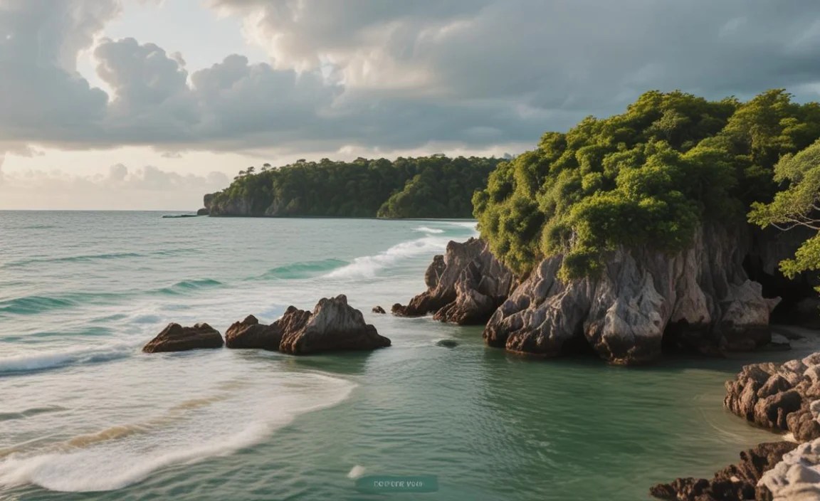 Understanding Bohol’s Best Photo Spots: A Quick Comparison