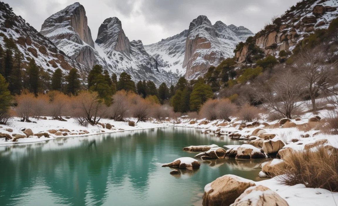 What to Expect from an Austin Winter