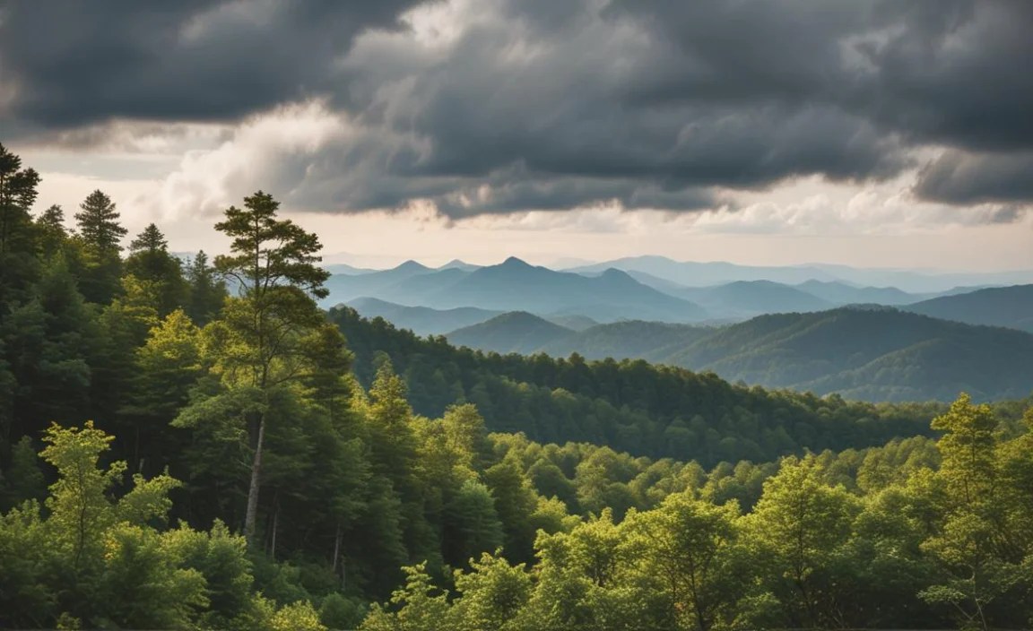 When the Smoky Mountains Will Open