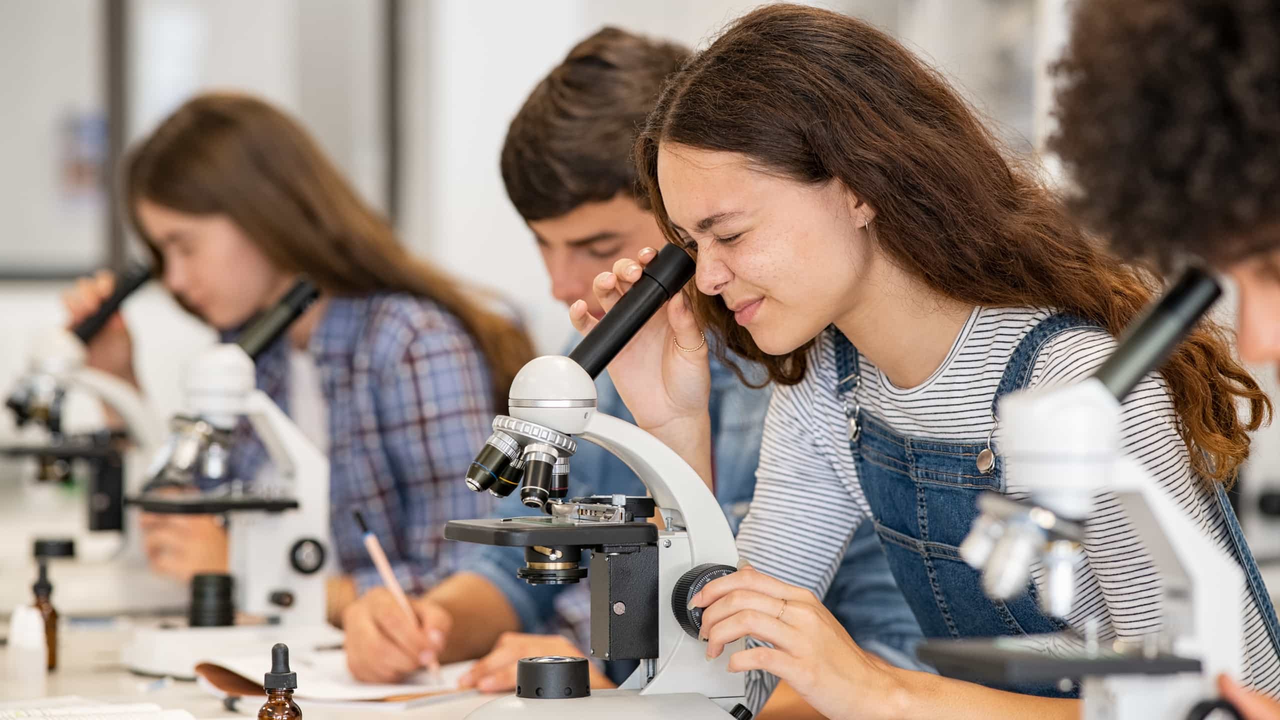 Some Interesting Biology Activities For Kindergarten to Highschool