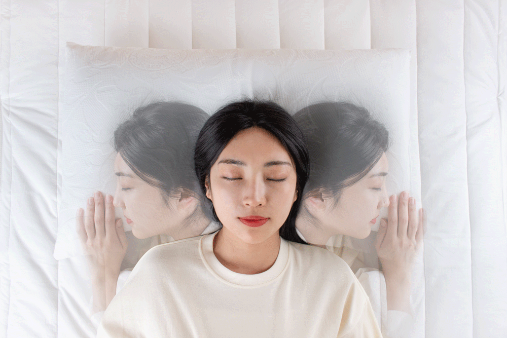 SEIN STORE 닥터파베 이태리 숙면 소프트 에디션 경추 베개 핫트랙스