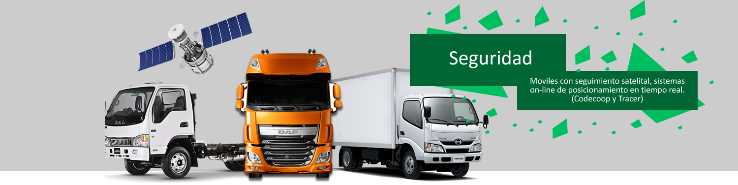 seguridad-rr