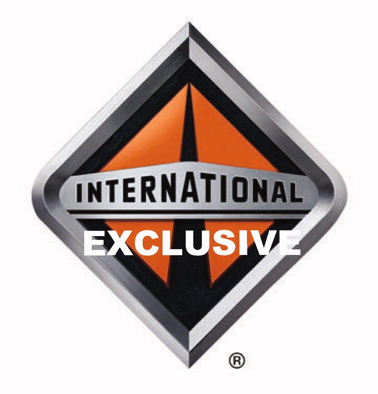 International Diamond Logo LogoDix