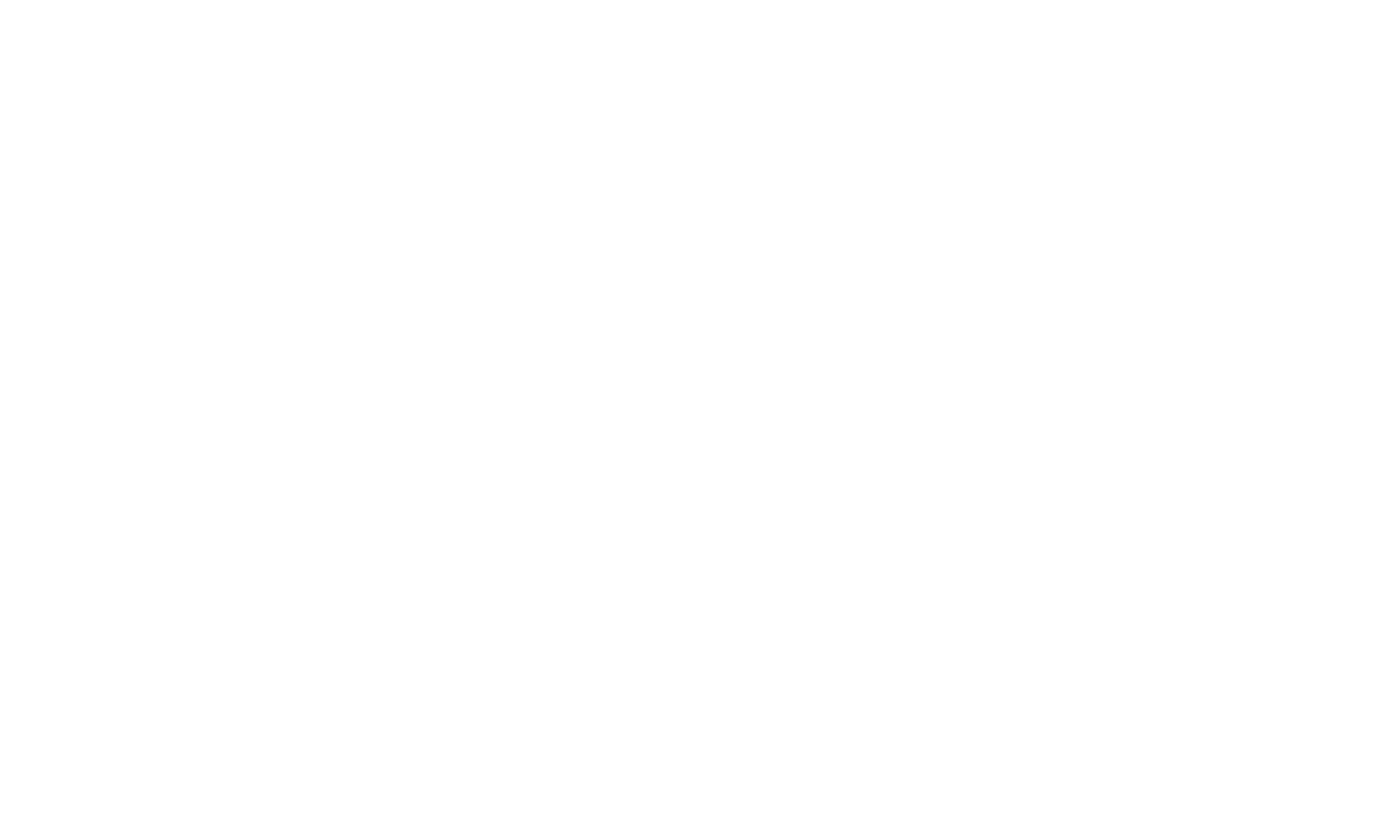 Black and White Flag Logo LogoDix