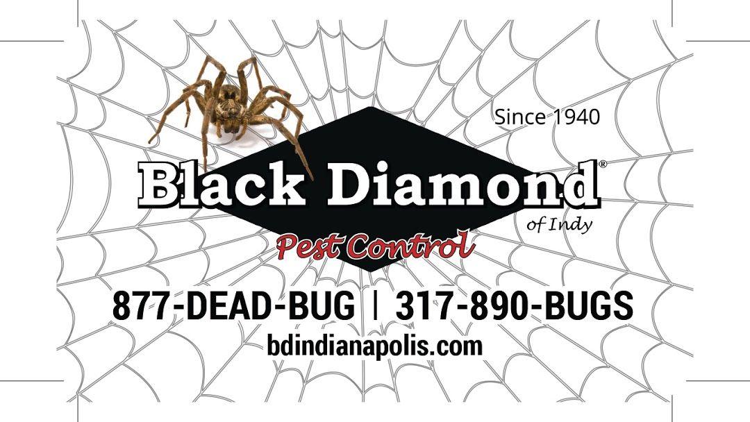 Black Diamond Pest Control Logo