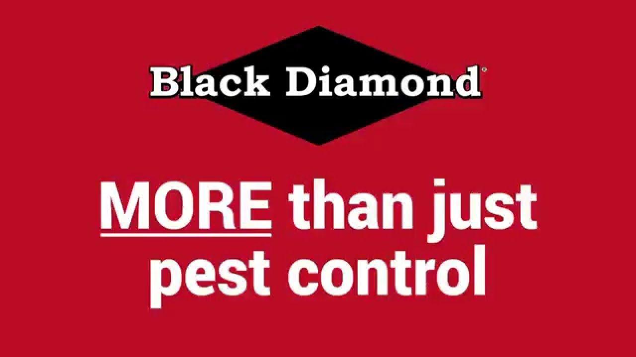 Black Diamond Pest Control Logo