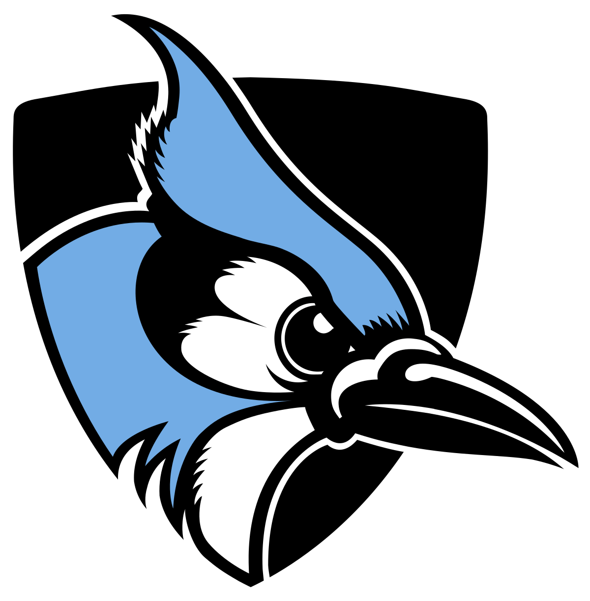 Blue Jay Sports Logo LogoDix