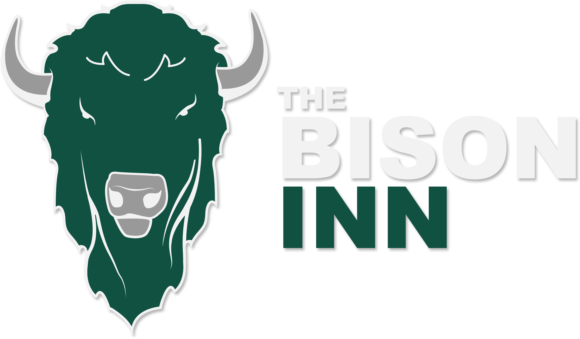 Bethany Bison Logo LogoDix