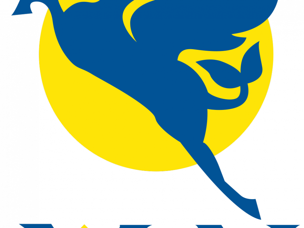 Yellow Airline Logo LogoDix