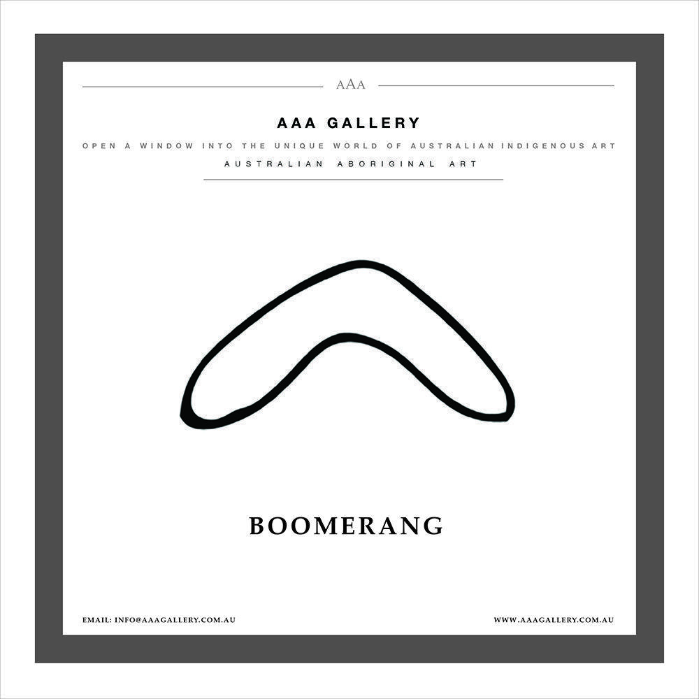 Boomerang V Logo