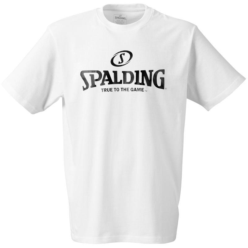 Spaulding Logo LogoDix