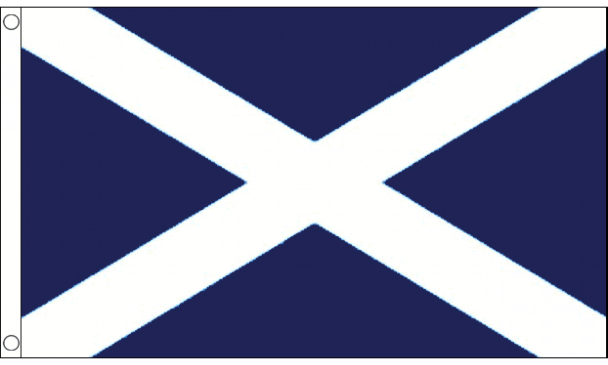 Navy Blue Flag Logo LogoDix