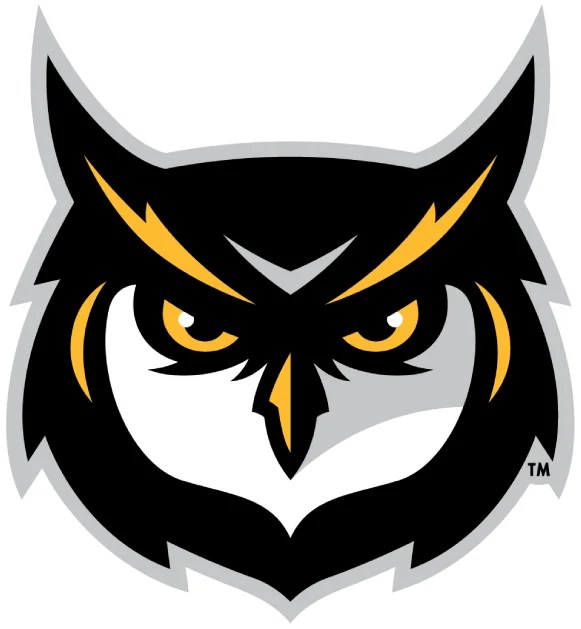 Cool Owl Logo LogoDix