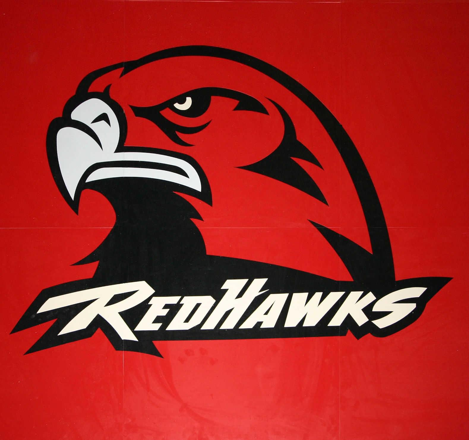 Red Hawk Mascot Logo LogoDix