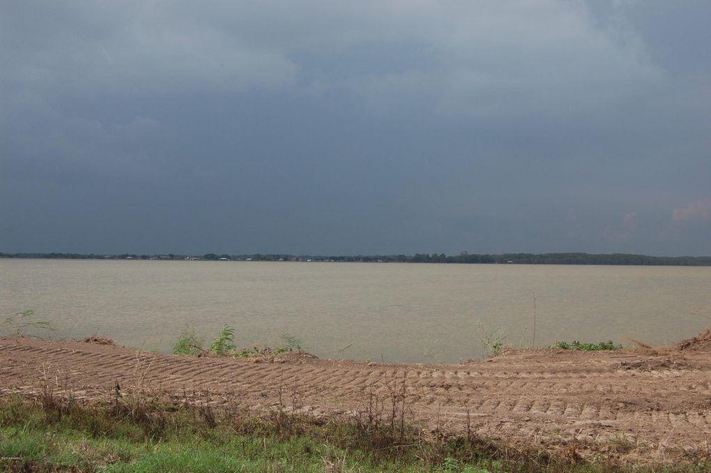 Lake La Land Logo LogoDix