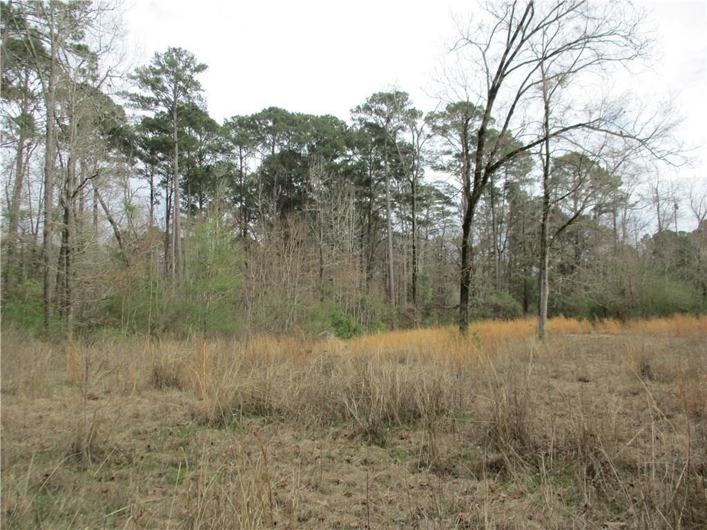 Lake La Land Logo LogoDix