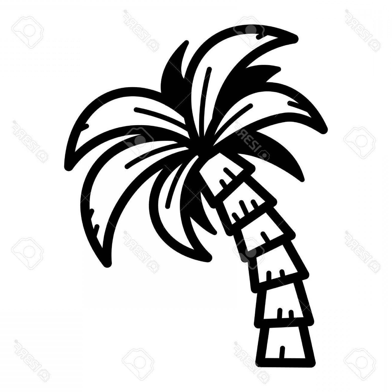 Black and White Palm Tree Logo LogoDix