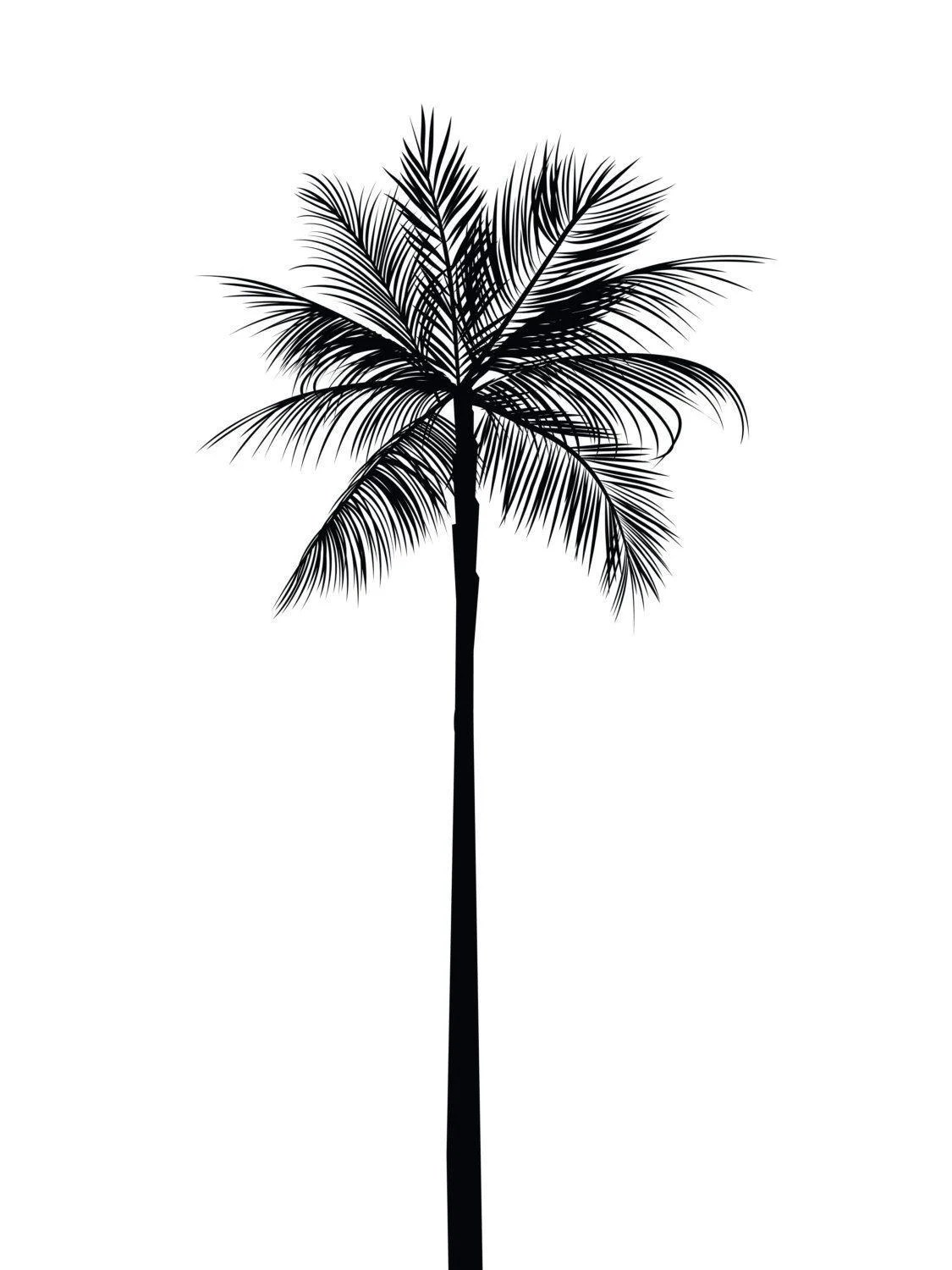 Black and White Palm Tree Logo LogoDix