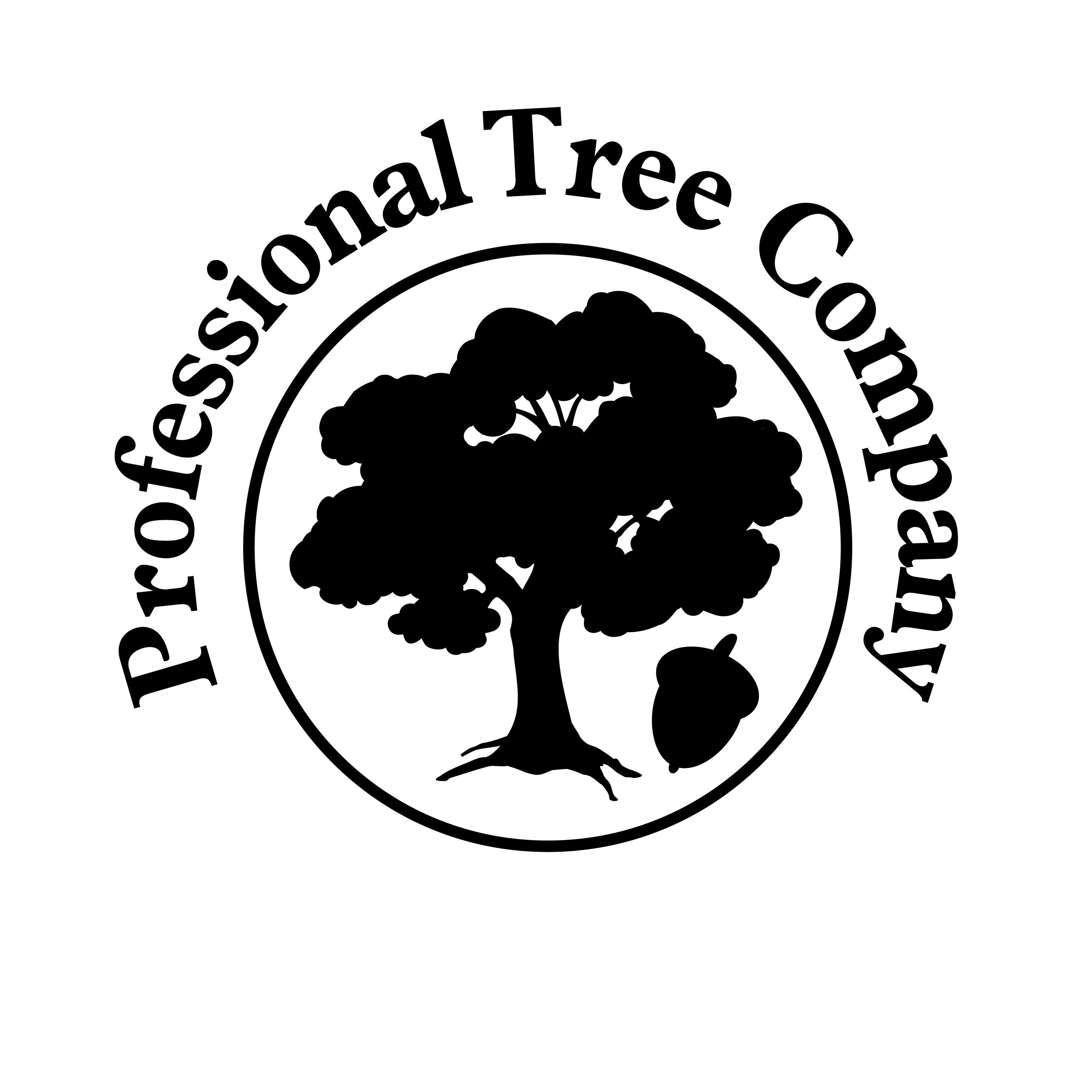 Black and White Tree in Circle Logo LogoDix