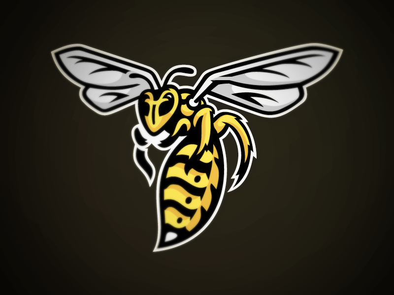 Yellow Jacket Sports Logo LogoDix