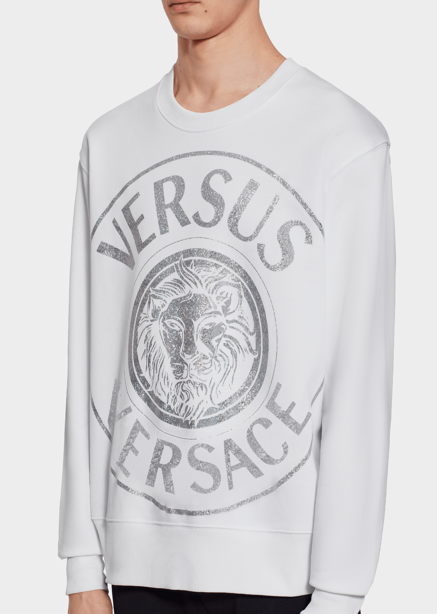 Versace Lion Logo LogoDix