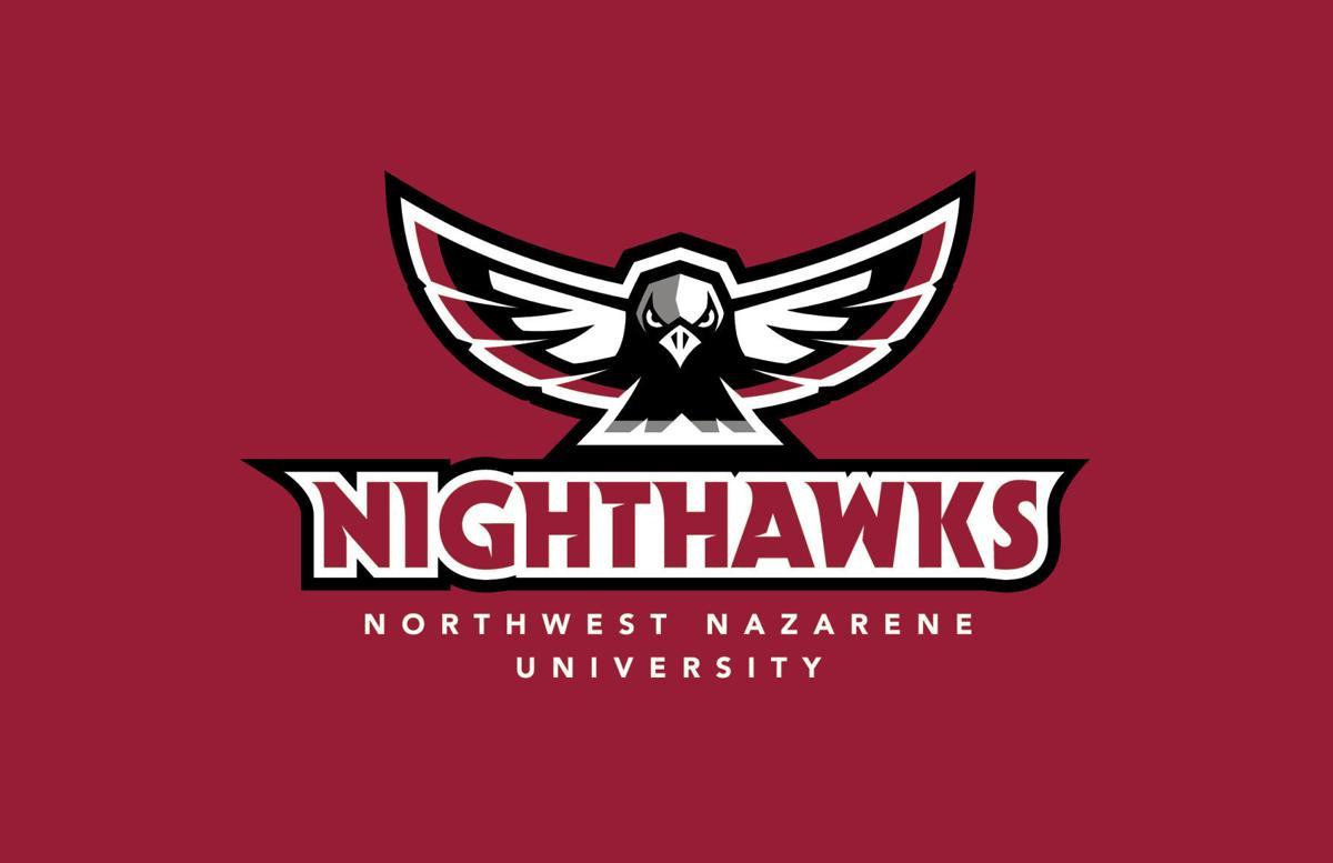 Nighthawk Logo