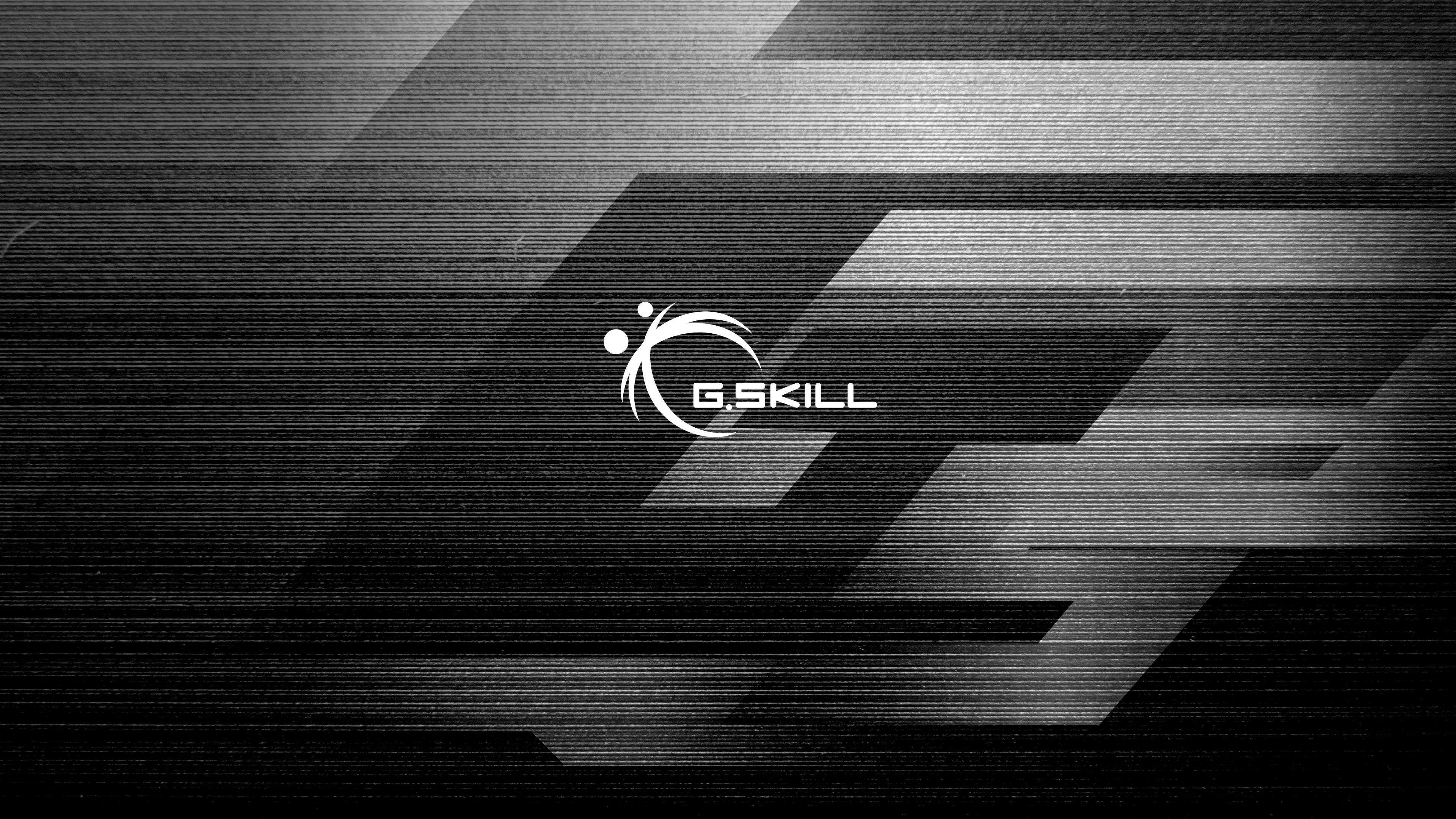 G.Skill Logo