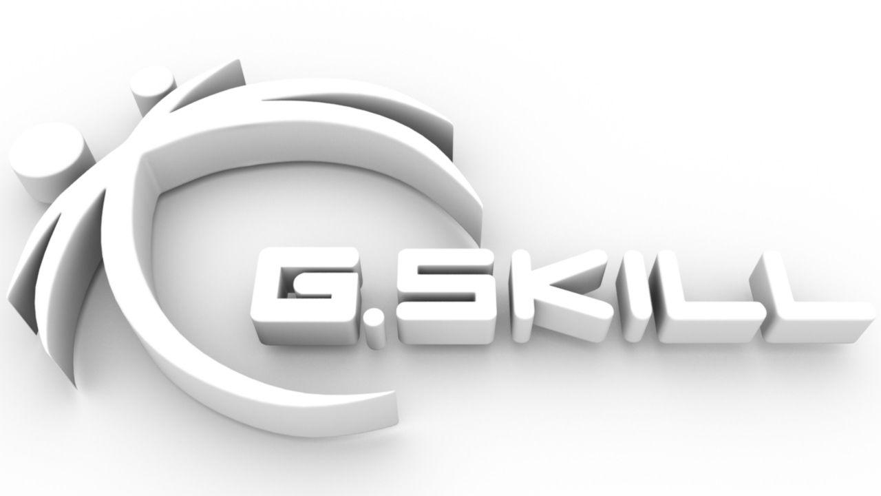 G.Skill Logo