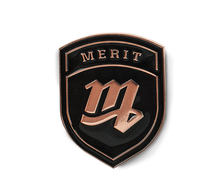 Merit Logo LogoDix