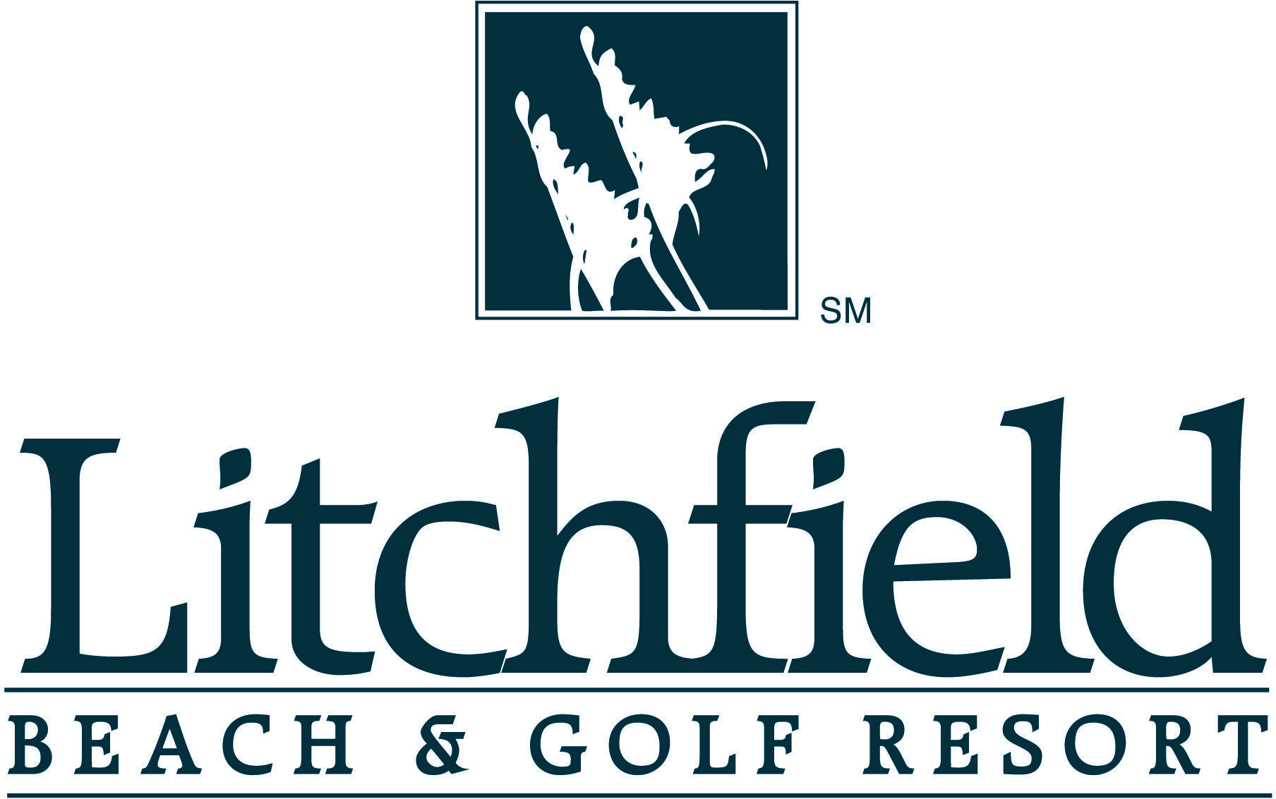 Litchfield Logo LogoDix