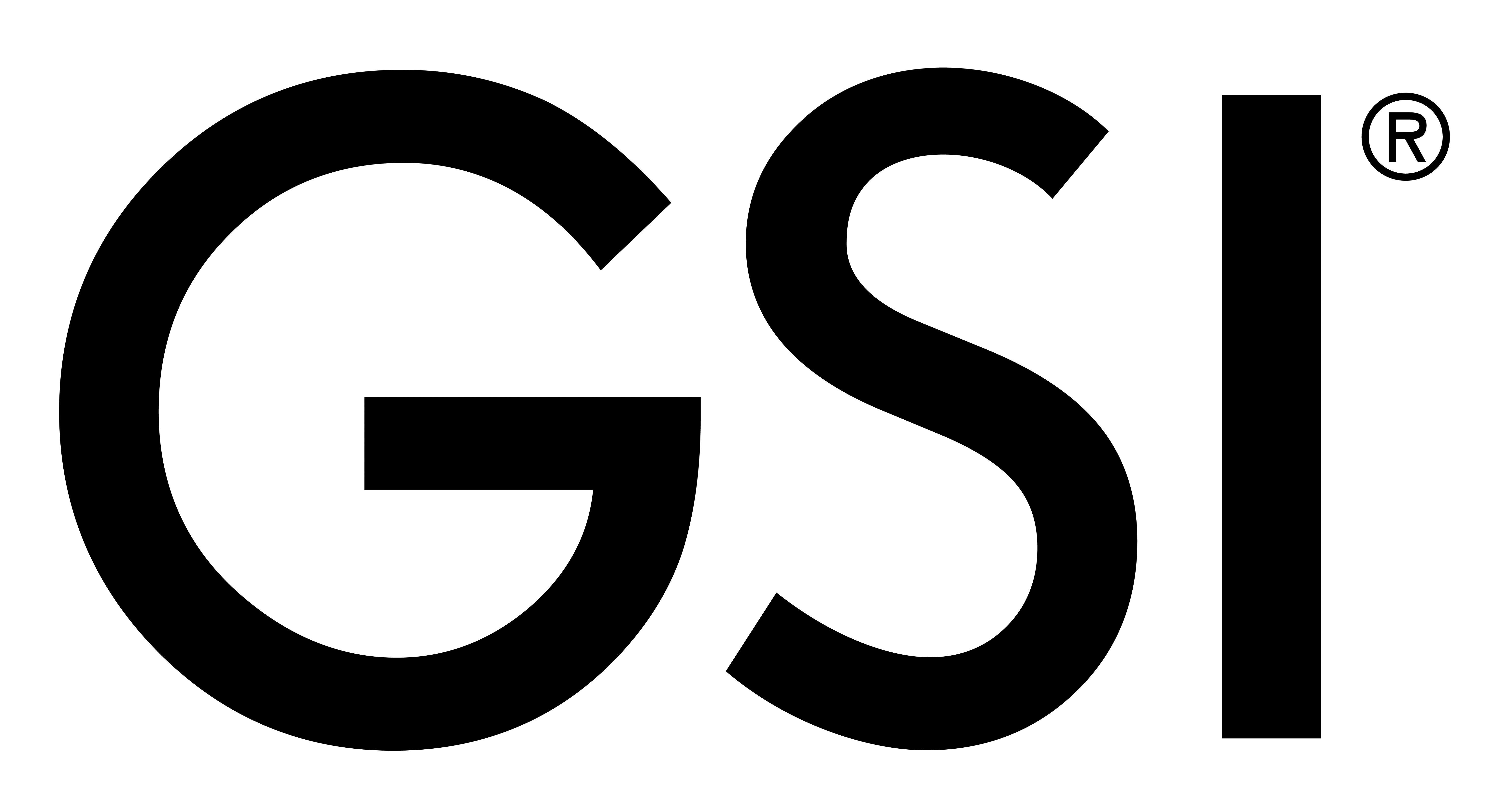 GSI Logo LogoDix