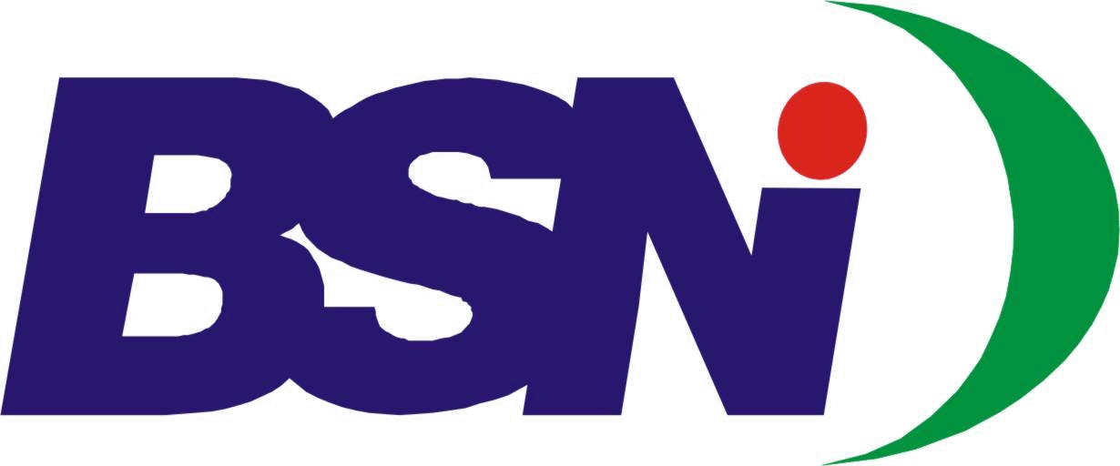 BSN Logo LogoDix