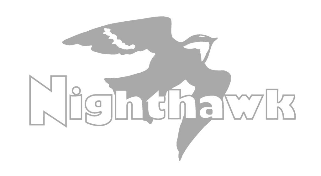 Nighthawk Logo LogoDix