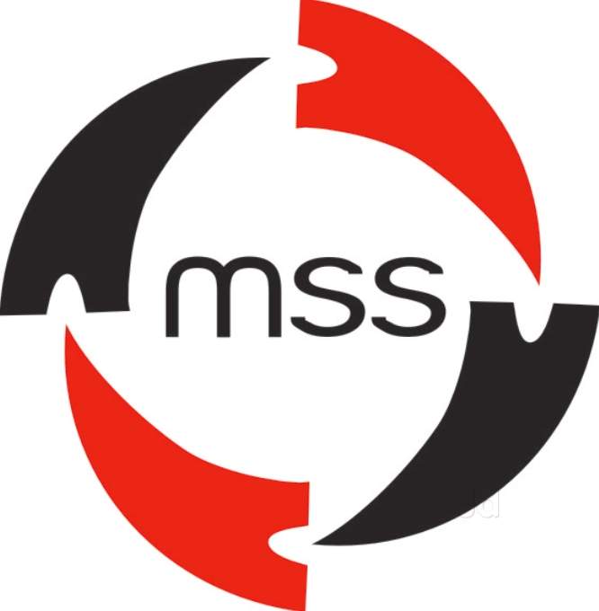 MSS Logo LogoDix