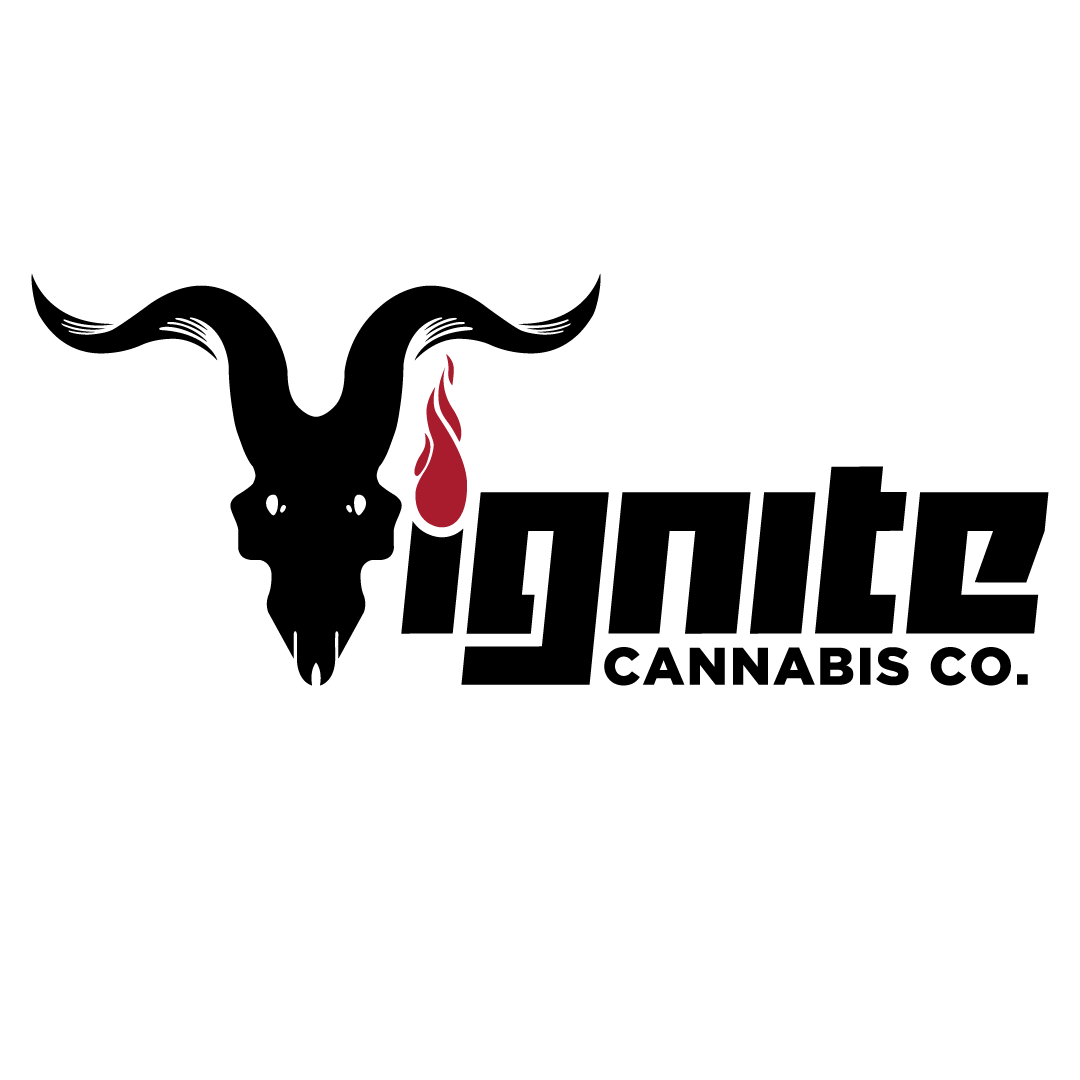 Ignite Logo LogoDix