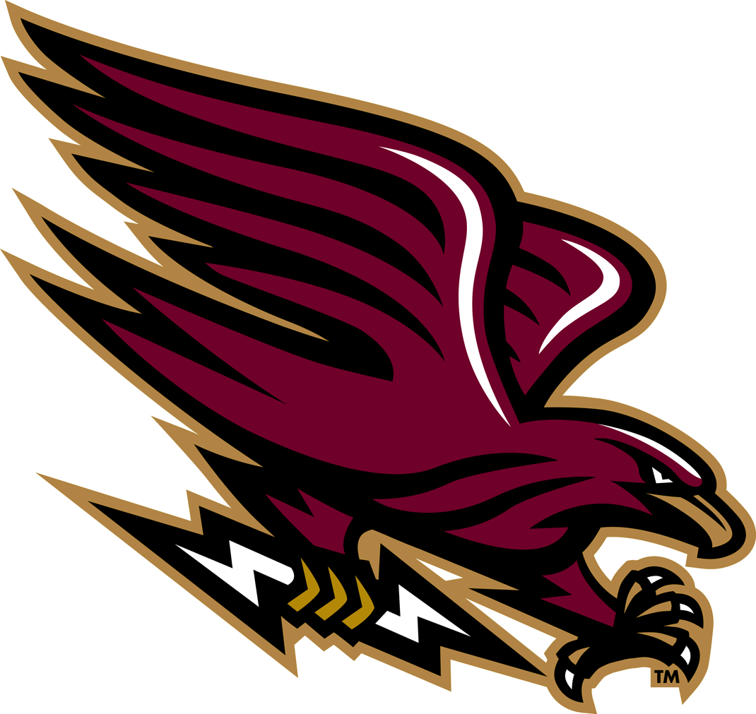 Warhawk Logo