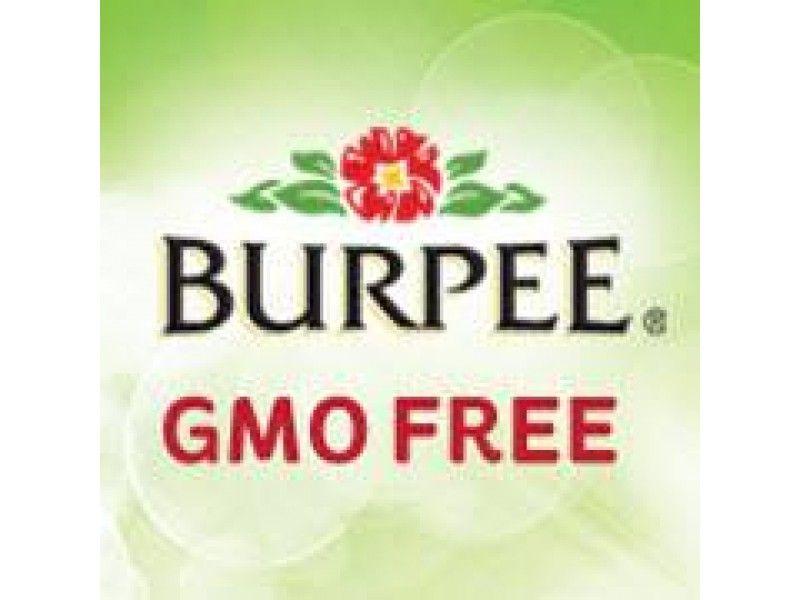 Burpee Logo LogoDix