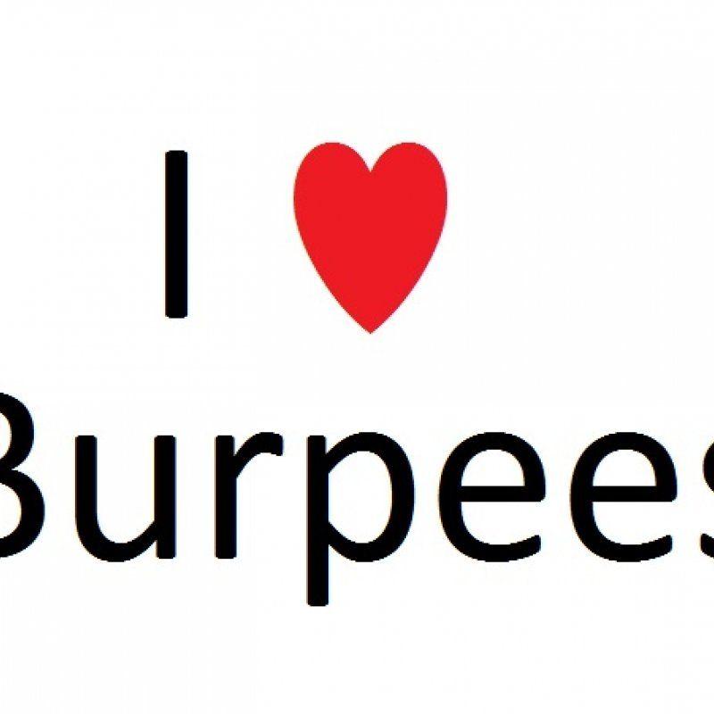 Burpee Logo LogoDix