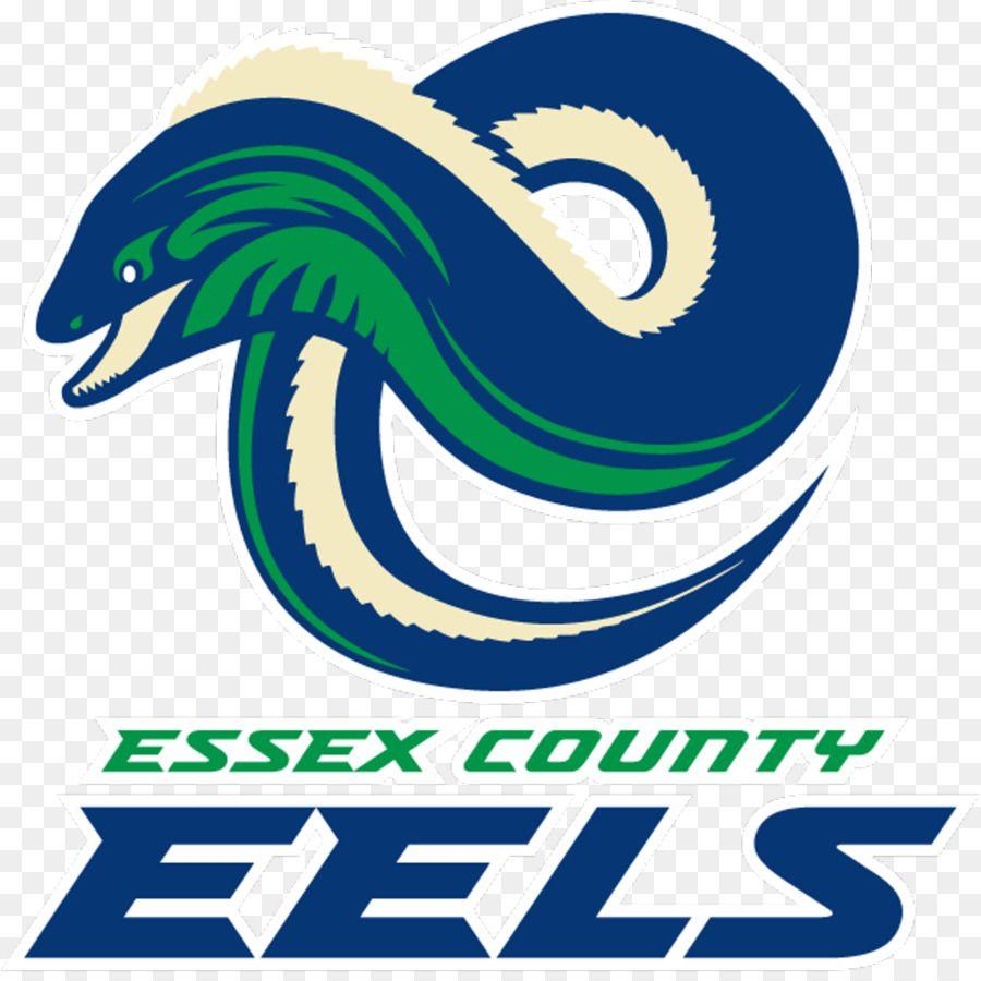 Eel Logo LogoDix